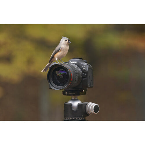 Canon EOS R6 II Mirrorless Camera Body Full Frame 24MP | iRobust Tech